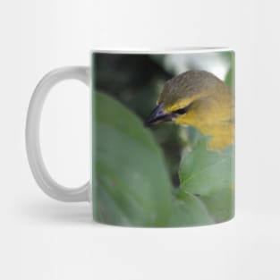 Yellow Bird Mug